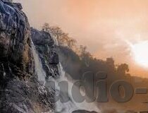 大象传媒免费观看网址-探索大象传媒，免费观看的数字乐园